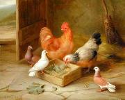 unknow artist poultry  141 painting